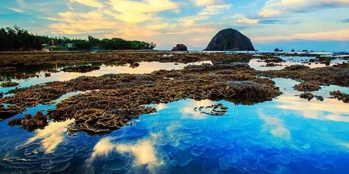 Đảo Hòn Yến – Nét đẹp của đảo san hô Phú Yên